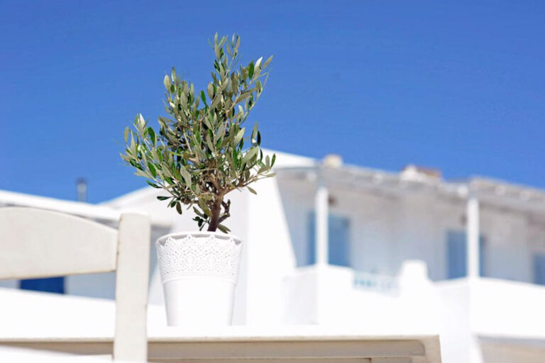 Galatis Hotel Booking 10 71120621